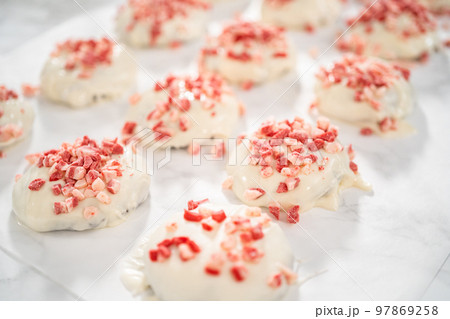 Dipping chocolate cookies into the melted white chocolate to prepare peppermint white chocolate cookies. Dipping chocolate cookies into the melted white chocolate to prepare peppermint white chocolate cookies. 97869258