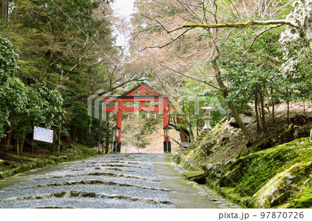 山王鳥居が建つ日吉大社の参道/滋賀県大津市 山王鳥居が建つ日吉大社の参道/滋賀県大津市 97870726