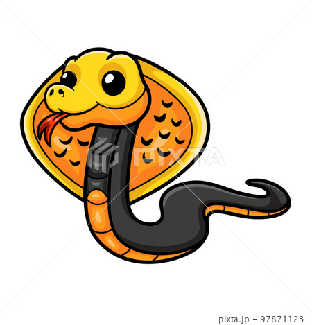 Cute philippines cobra cartoon (Naja samarensis) Cute philippines cobra cartoon (Naja samarensis) 97871123