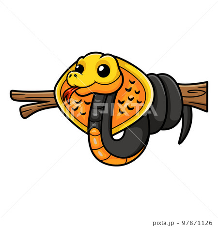 Cute philippines cobra cartoon on tree branch Cute philippines cobra cartoon on tree branch 97871126