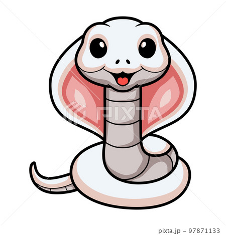 Cute leucistic cobra snake cartoon 97871133