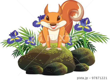 Cute squirrel sitting on rock Cute squirrel sitting on rock 97871221