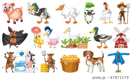 Cute animals on the farm 97871579