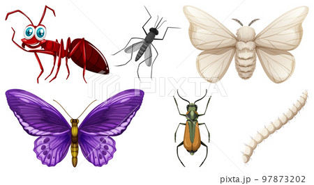 Set of different kinds of insects 97873202