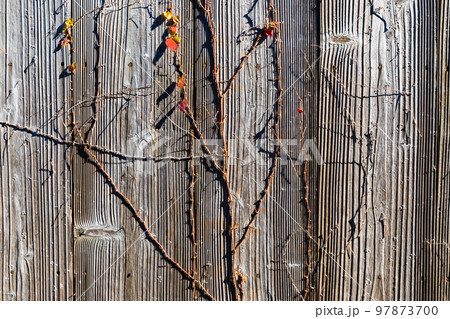 埼玉県深谷市　七ツ梅酒造跡 97873700