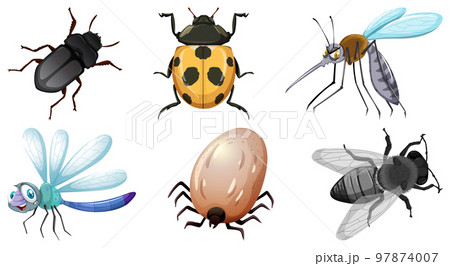 Collection of different insects vector Collection of different insects vector 97874007