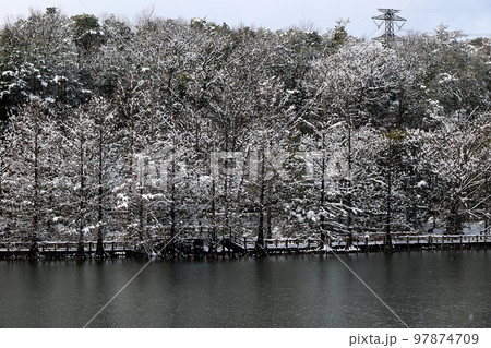雪景色 雪景色 97874709