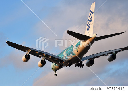 全日空 (ANA) の旅客機 A380-800 全日空 (ANA) の旅客機 A380-800 97875412