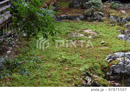 山寺の庭園 山寺の庭園 97875507