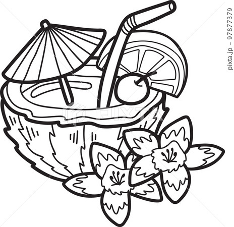 Hand Drawn Coconut water and coconut balls illustration 97877379