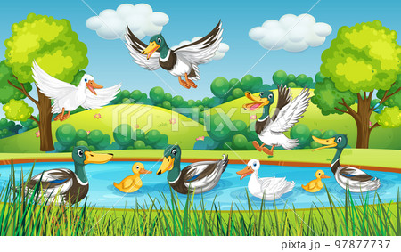 Outdoor scene with cartoon ducks Outdoor scene with cartoon ducks 97877737