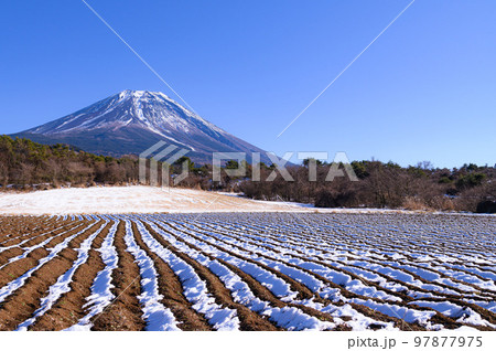 富士ヶ嶺の田園地帯と富士山の絶景・冬景色 97877975