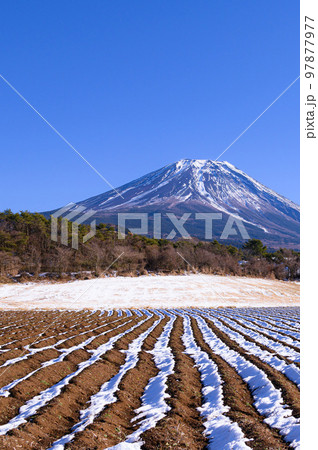 富士ヶ嶺の田園地帯と富士山の絶景・冬景色 97877977
