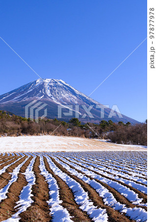 富士ヶ嶺の田園地帯と富士山の絶景・冬景色 97877978