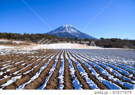 富士ヶ嶺の田園地帯と富士山の絶景・冬景色 富士ヶ嶺の田園地帯と富士山の絶景・冬景色 97877979