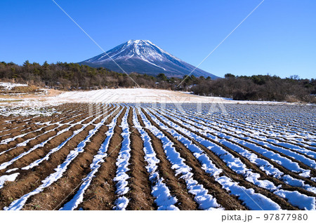 富士ヶ嶺の田園地帯と富士山の絶景・冬景色 富士ヶ嶺の田園地帯と富士山の絶景・冬景色 97877980