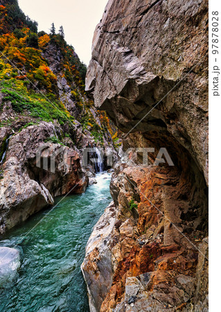 紅葉の黒部峡谷の下ノ廊下の白竜峡 97878028