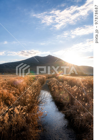 茨城県筑西市　母子島遊水地の冬の朝 97878687