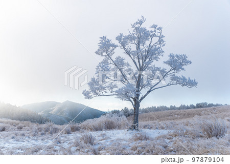 美しい樹氷 97879104