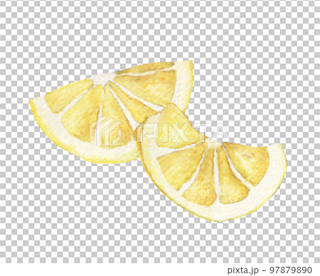 Fresh lemon. Watercolor illustration. Fresh lemon. Watercolor illustration. 97879890