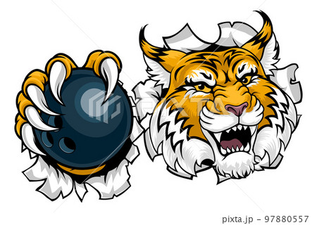 Wildcat Bobcat Bowling Animal Sports Team Mascot 97880557