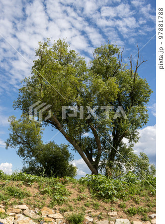 Country surrounding Bata Canal , Czechia / Slovakia Country surrounding Bata Canal , Czechia / Slovakia 97881788