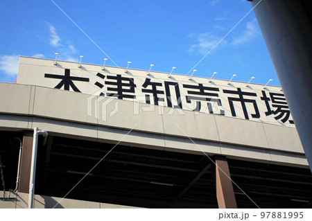 木津卸売市場 木津卸売市場 97881995