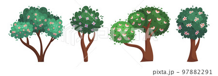 Set of Cartoon Blooming Trees and Bushes. Forest And Garden Landscape Elements with Spring or Summer Foliage and Flowers 97882291