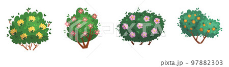 Set of Cartoon Blooming Forest or Garden Trees. Isolated Game Assets, Decorative Landscape Plants And Shrubs 97882303