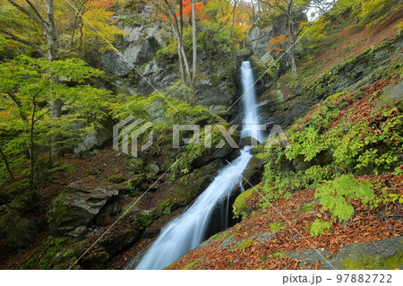 埼玉県秩父市大滝栃本 紅葉の季節の荒川支流大除沢にかかる巨瀑大除沢不動滝 埼玉県秩父市大滝栃本 紅葉の季節の荒川支流大除沢にかかる巨瀑大除沢不動滝 97882722
