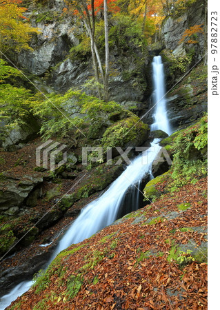 埼玉県秩父市大滝栃本 紅葉の季節の荒川支流大除沢にかかる巨瀑大除沢不動滝 埼玉県秩父市大滝栃本 紅葉の季節の荒川支流大除沢にかかる巨瀑大除沢不動滝 97882723