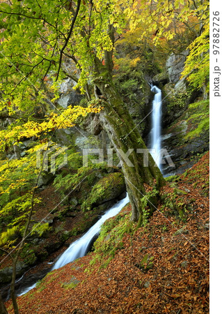 埼玉県秩父市大滝栃本 紅葉の季節の荒川支流大除沢にかかる巨瀑大除沢不動滝 埼玉県秩父市大滝栃本 紅葉の季節の荒川支流大除沢にかかる巨瀑大除沢不動滝 97882726