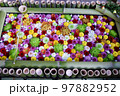 栃木市　とちぎ花センターの花手水 97882952