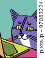Illustration of cat with loptop 97883224