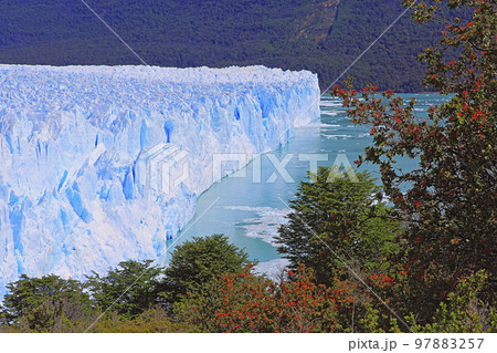 Perito Moreno Glacier in El Calafate, Patagonia of Argentina Perito Moreno Glacier in El Calafate, Patagonia of Argentina 97883257