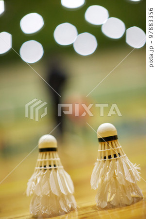 体育館の床の上にあるバドミントンのシャトルのアップ写真 97883356