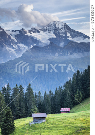 Snowcapped Bernese Swiss alps, Breithorn and alpine farms, Switzerland 97883627