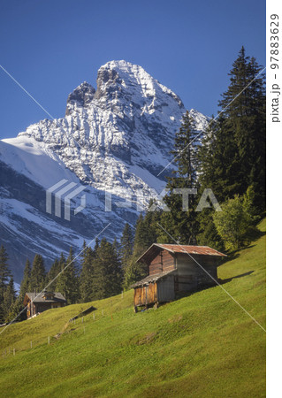 Snowcapped Bernese Swiss alps, Breithorn and alpine farms, Switzerland 97883629