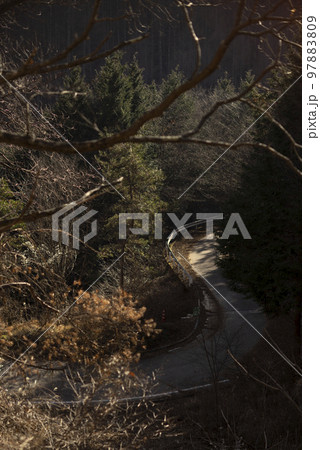 冬の舗装林道 冬の舗装林道 97883809
