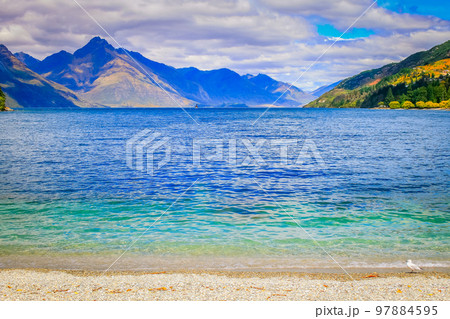 Lake Wakatipu coastline in south New Zealand, near Queenstown Lake Wakatipu coastline in south New Zealand, near Queenstown 97884595