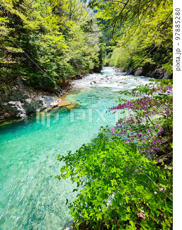 阿寺渓谷 97885280