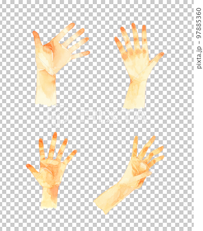 Hand-drawn watercolor illustration material collection Hand-drawn watercolor illustration material collection 97885360