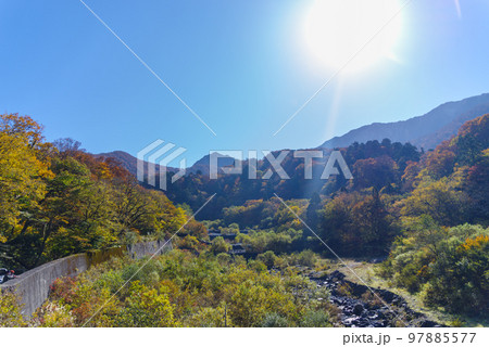 伯耆大山　大山寺橋周辺の紅葉（2022年11月）　　 97885577