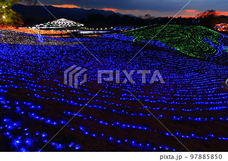 【香川県】国営讃岐まんのう公園のイルミネーション（ウィンターファンタジー） 97885850