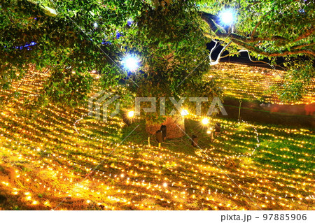 【香川県】国営讃岐まんのう公園のイルミネーション(ウィンターファンタジー) 【香川県】国営讃岐まんのう公園のイルミネーション(ウィンターファンタジー) 97885906
