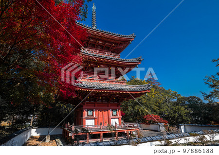 画聖雪舟ゆかりの禅寺 #宝福寺 #井山宝福寺 #三重塔 画聖雪舟ゆかりの禅寺 #宝福寺 #井山宝福寺 #三重塔 97886188