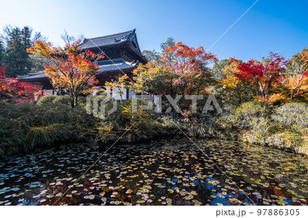 画聖雪舟ゆかりの禅寺　＃宝福寺　＃井山宝福寺　＃仏殿 97886305