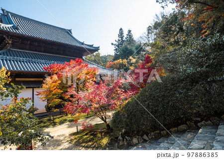 画聖雪舟ゆかりの禅寺 #宝福寺 #井山宝福寺 #仏殿 画聖雪舟ゆかりの禅寺 #宝福寺 #井山宝福寺 #仏殿 97886385