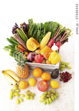 野菜とフルーツの集合 97886448