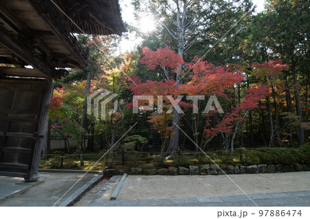 画聖雪舟ゆかりの禅寺 #宝福寺 #井山宝福寺 #山門 画聖雪舟ゆかりの禅寺 #宝福寺 #井山宝福寺 #山門 97886474